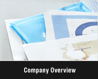 Company Overview