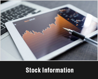 Stock Information